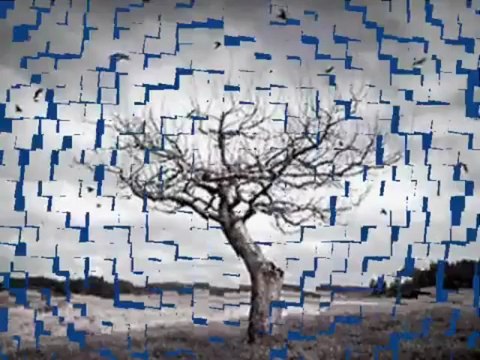 Can Yücel - Özledim Seni