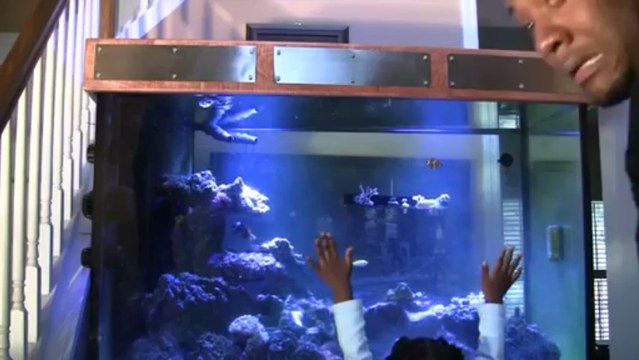 Toddler Aquarium Maintenance (Funny)