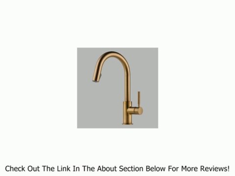 Brizo 63020LF-SS Solna Single Handle Pull-Down Kitchen Faucet, Stainless Review