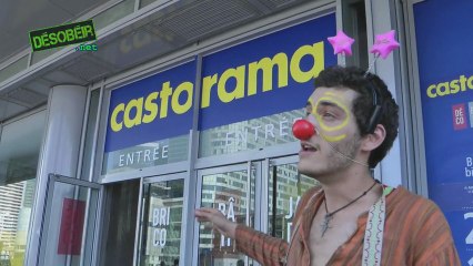 De gentilles abeilles agressées chez Castorama ! Roundup non merci !