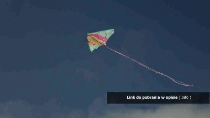 dlaczego ja 238 online