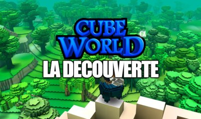 Présentation de Cube World
