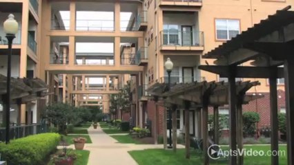 Morgan At North Shore Apartments in Pittsburgh, PA - ForRent.com