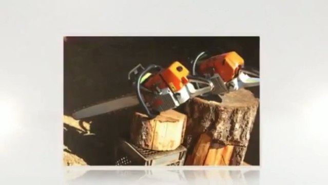 Allen County Tree - (260) 418-0127