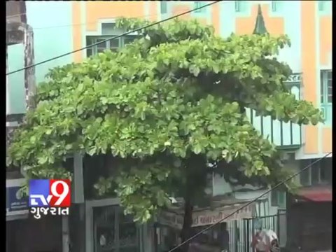 Tv9 Gujarat - Heavy rain cripples Surat
