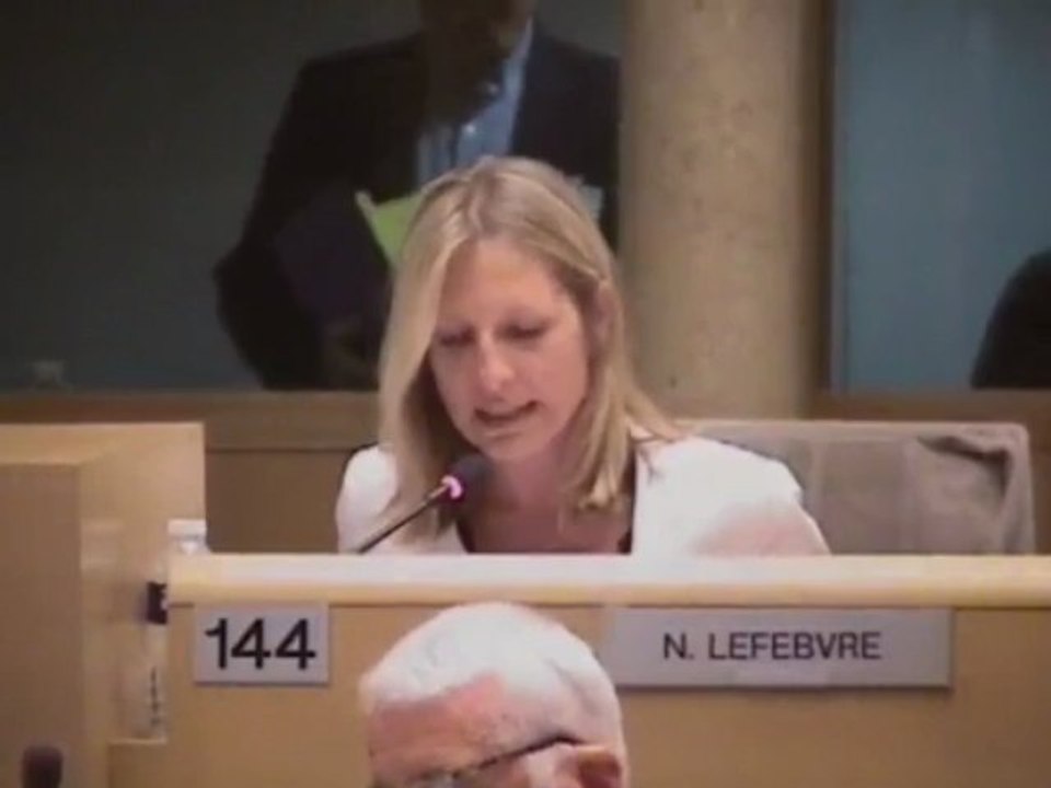 CR PACA du 28 06 2013 Nathalie LEFEBVRE - Rapport 53 : activité des services 2012
