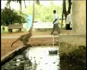 Save Water ..... see THIS Video Must watch