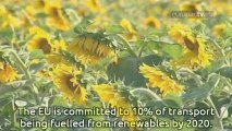 Boost for more sustainable biofuels
