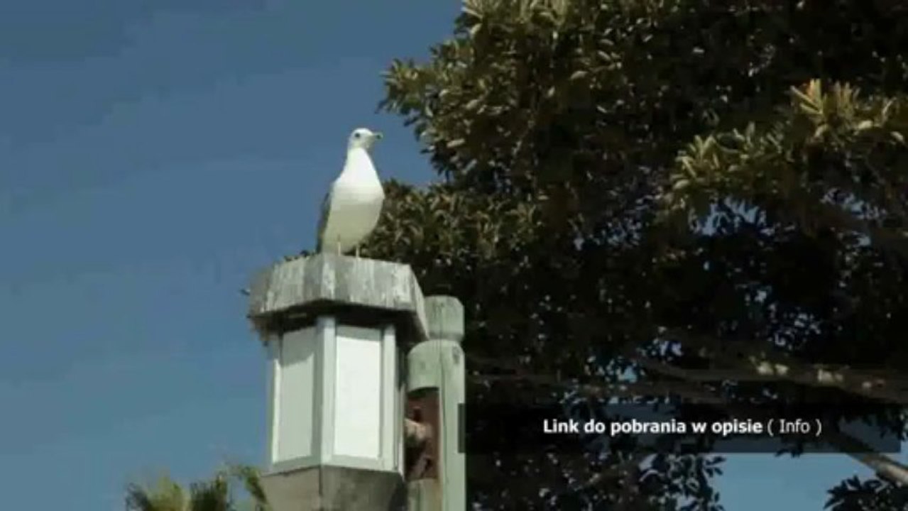 kody do uberstrike