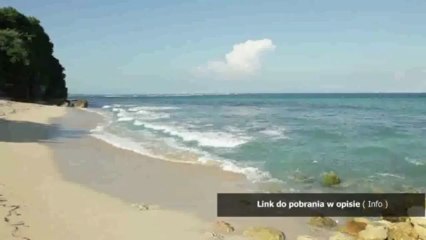 matura vocabulary and skills builder