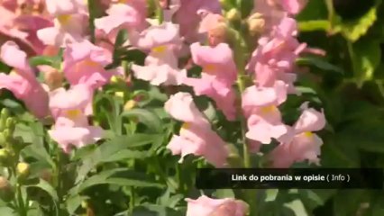 sex z nauczycielka