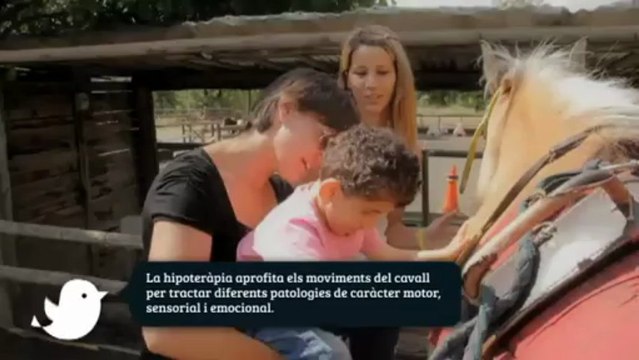 TV3 - Un Dia Perfecte en Família per Catalunya - Un Dia Perfecte en Família per Catalunya - capí