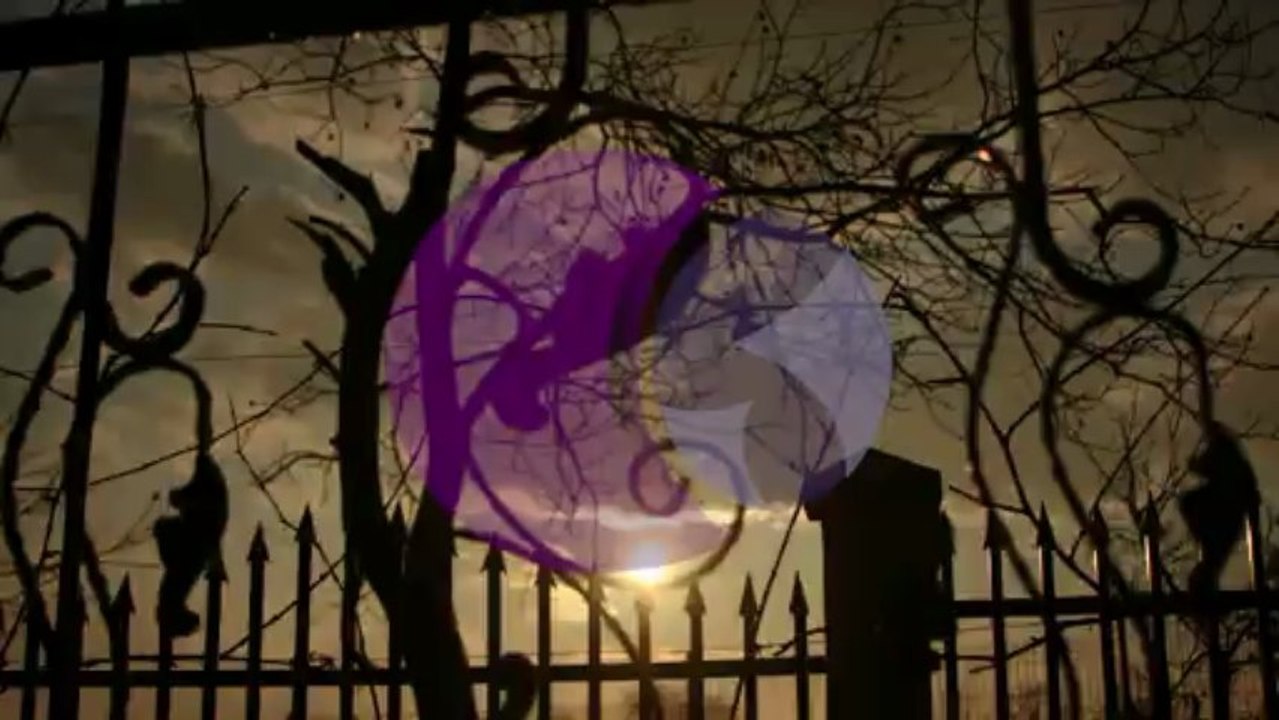 The fence - time lapse