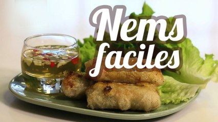 Nems faciles