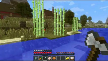 Minecraft Hunger Games #39 'INVISIBLE GUY!' with Vikkstar123