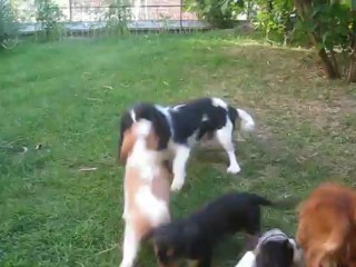 Dur Dur d'être Maman - juillet 2013 010