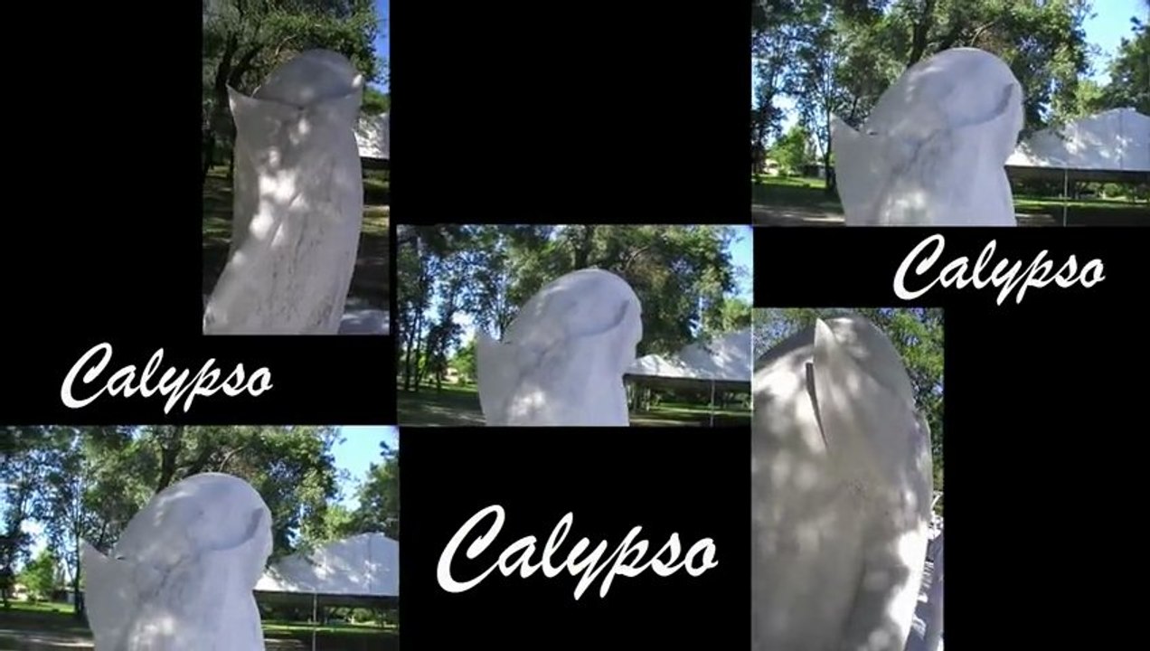La Calypso