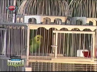 Murat Berxo 2 Ramazan 2013