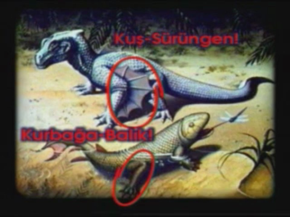 Evrim Teorisinin Çöküşü Yaratılış Gerçeği 5/8  www.harunyahya.org