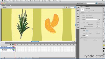 "adobe flash" Understanding bitmap and vector graphics