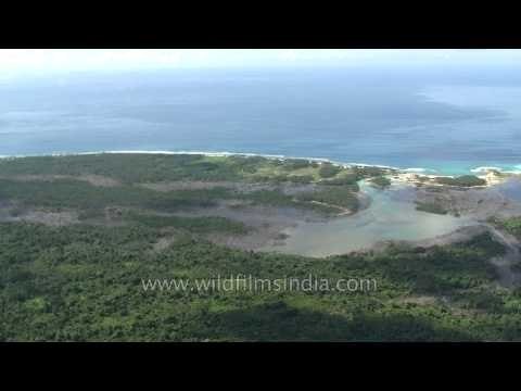 Rainforests and Virgin beaches: Andamans