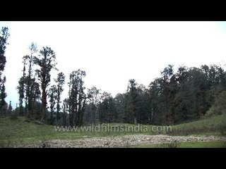 Uttarakhand hdv 756 15