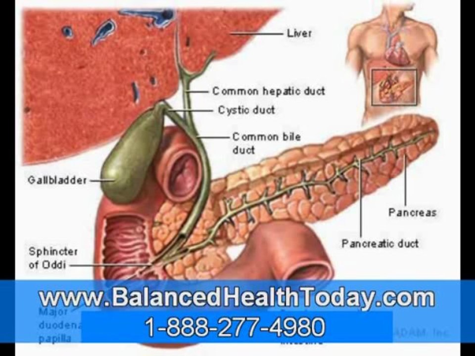 Detoxifying Liver, Gallbladder Flushes