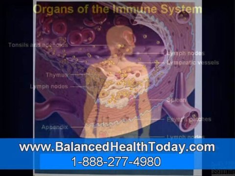 Kidney Liver Cleanse, Gall Bladder Functions