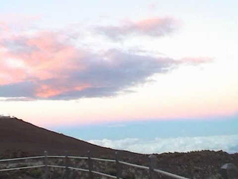 Emf Protector, Radiation From Cell Phones