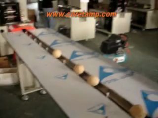 Automatic food filling machines