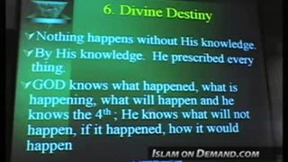 belief in Divine destiny By Fadel soliman