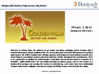 Nimbus IITL Golden Palm-9999011115