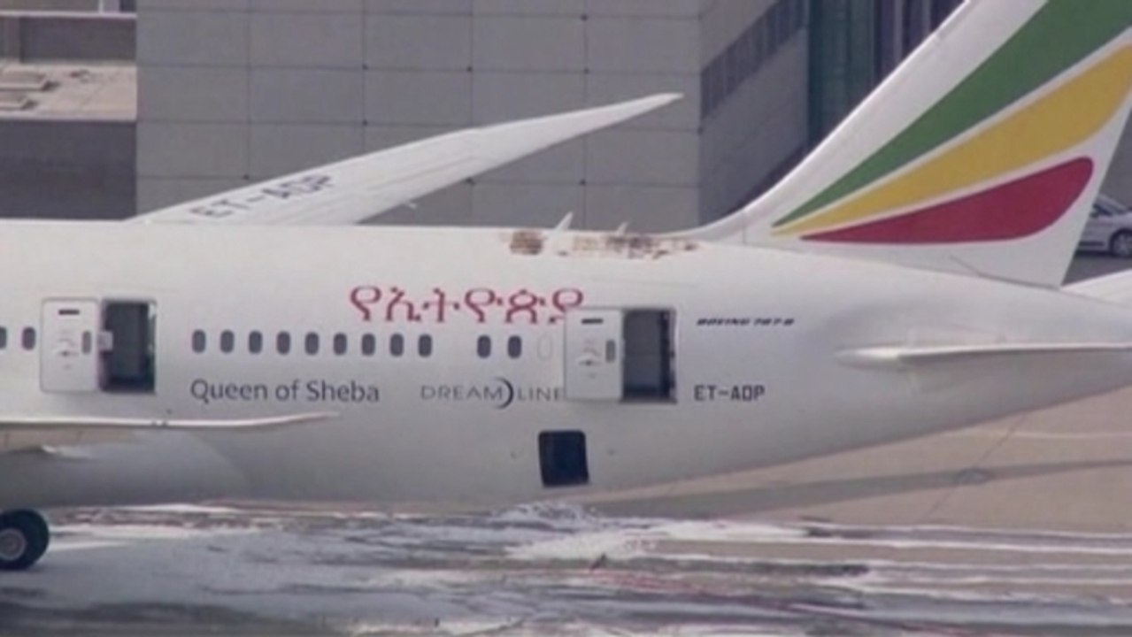 Dreamliner fire alert