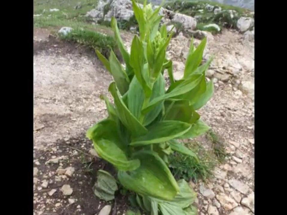 Tre Cime Di Lavaredo
