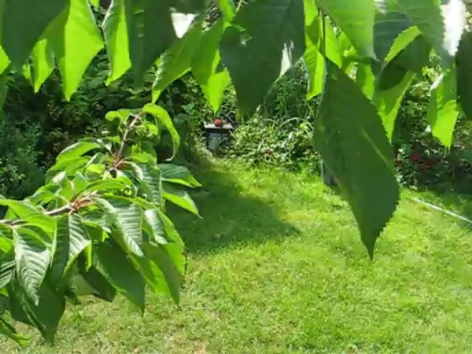 toujours la suite de moumousse