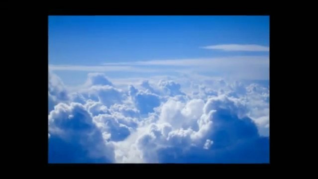 Black And White Shower Curtains Series 2