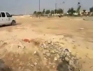Dog buries his puppy in Iraq - كلب يدفن ابنه في العراق