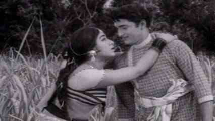 Jagath Janthreelu Song- Paccha Jonna - Shoban Babu