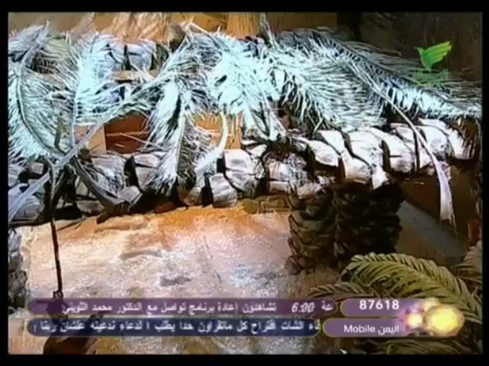 برنامج اليوم النبوي الشيخ عبدالوهاب الطريري 11
