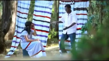 New Best Ethiopian Oromo Music 2013 Ashenafi - Wallagaa