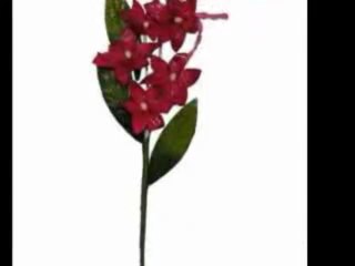 order flowers online philippines