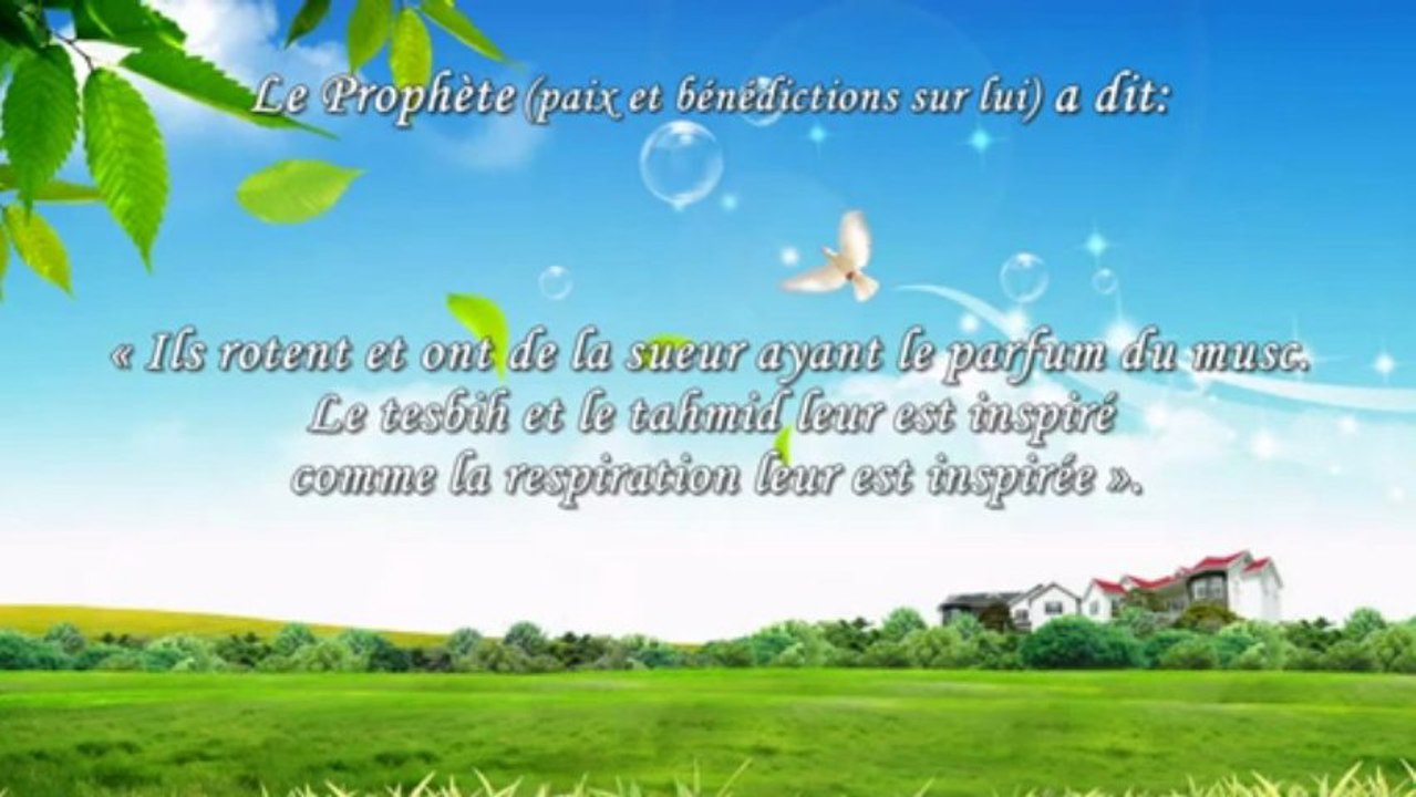 Le Paradis - Hadiths ISLAM