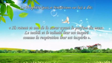 Le Paradis - Hadiths ISLAM