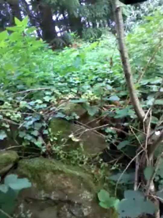 funker540 , on attand les ennemis donc on fait des barricade :D