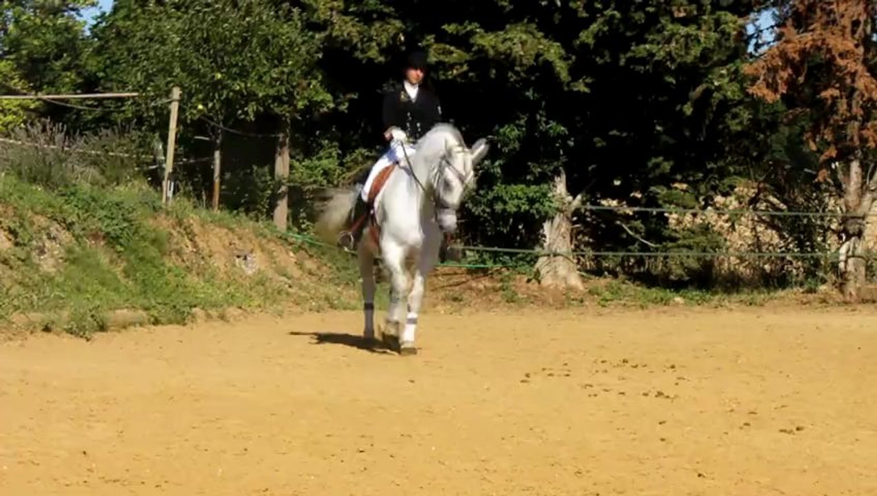 Entrainements