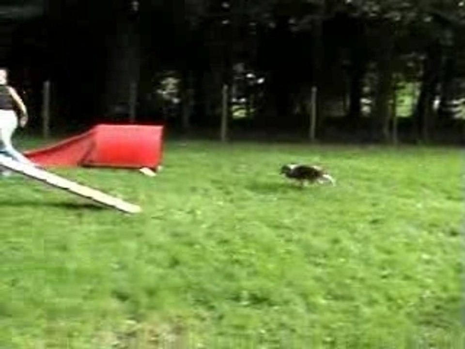 Tess entrainement