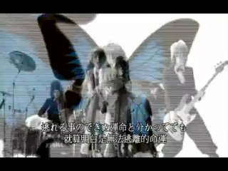 ドレミ團 - 蝶 (日/繁中字幕)
