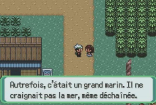 Pokemon Emeraude [P-3] Nos premières rencontres