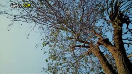 مسلسل العقرب الحلقة 3️⃣: الأحداث المشوقة تكشف الأسرار الجديدة