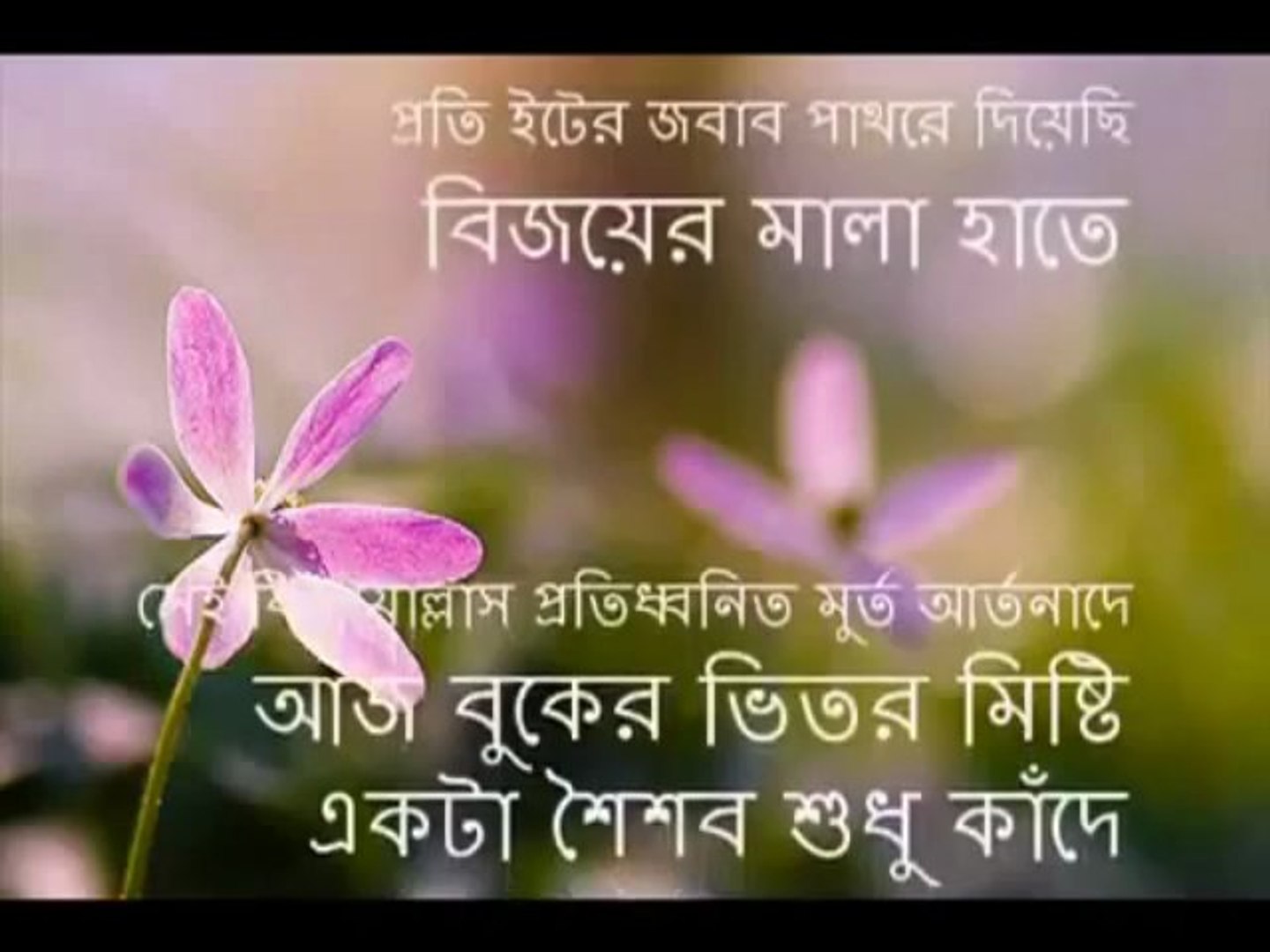 ⁣Shayan- EK Hariya Jawa Bandhu - a Bangla Gaan